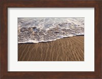 Rialto Beach Olympic National Park, Washington State Fine Art Print