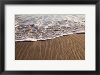 Rialto Beach Olympic National Park, Washington State Fine Art Print