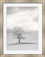 Infrared of Lone Tree in Wheat Field 1 Fine Art Print