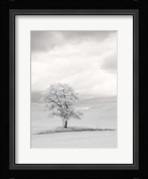 Infrared of Lone Tree in Wheat Field 1 Fine Art Print
