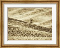 Infrared of Lone Tree in Wheat Field 2 Fine Art Print