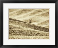 Infrared of Lone Tree in Wheat Field 2 Fine Art Print
