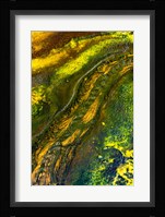 Run-off at Pump Springs, Yellowstone National Park Fine Art Print