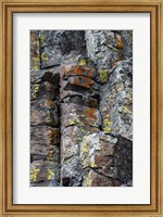 Sheepeater Cliffs Detail, Yellowstone National Park Fine Art Print