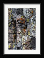 Sheepeater Cliffs Detail, Yellowstone National Park Fine Art Print