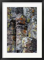Sheepeater Cliffs Detail, Yellowstone National Park Fine Art Print