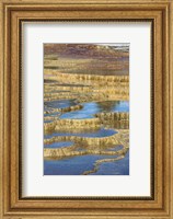 Mineral Deposit Formation, Yellowstone National Park Fine Art Print