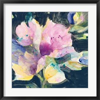 Tulip Splash Framed Print