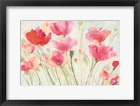 Blush Poppies Fine Art Print