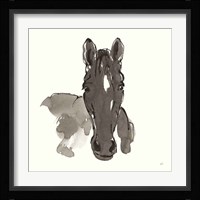Horse Portrait IV Framed Print