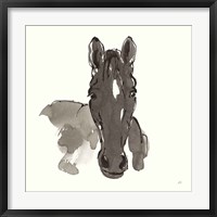 Horse Portrait IV Framed Print