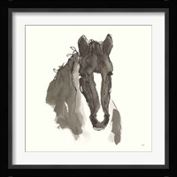 Horse Portrait III Framed Print