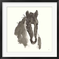 Horse Portrait III Framed Print
