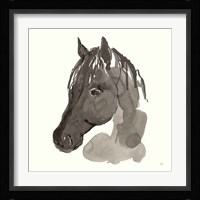 Horse Portrait II Fine Art Print