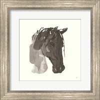 Horse Portrait I Fine Art Print