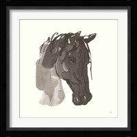 Horse Portrait I Fine Art Print