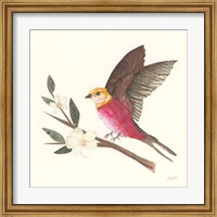 Birds and Blossoms IV Fine Art Print