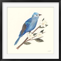 Birds and Blossoms III Framed Print