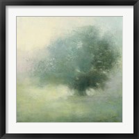 Morning Haze Framed Print