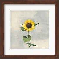 Sunny Blooms II Fine Art Print