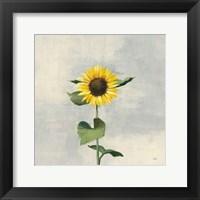 Sunny Blooms II Fine Art Print