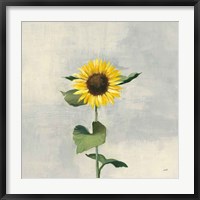 Sunny Blooms II Fine Art Print