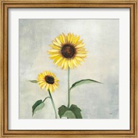 Sunny Blooms I Fine Art Print