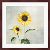 Sunny Blooms I Fine Art Print