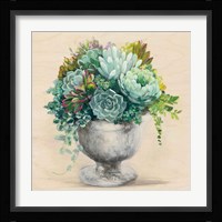 Festive Succulents I Framed Print