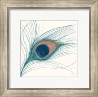 Peacock Feather I Blue Fine Art Print