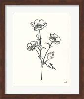 Buttercup Fine Art Print