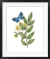 Greenery Butterflies IV Fine Art Print