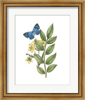 Greenery Butterflies IV Fine Art Print