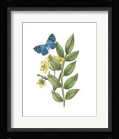 Greenery Butterflies IV Framed Print