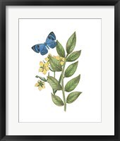 Greenery Butterflies IV Framed Print