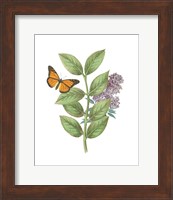 Greenery Butterflies III Fine Art Print