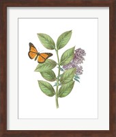 Greenery Butterflies III Fine Art Print