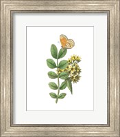 Greenery Butterflies II Fine Art Print