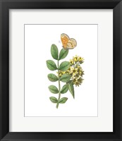 Greenery Butterflies II Fine Art Print