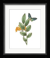 Greenery Butterflies I Framed Print