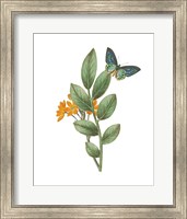 Greenery Butterflies I Fine Art Print