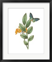Greenery Butterflies I Framed Print