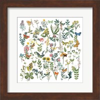 Flowers and Butterflies Fine Art Print