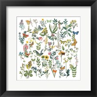 Flowers and Butterflies Fine Art Print