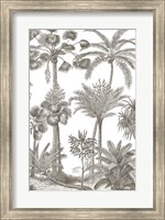 Palm Oasis II Fine Art Print
