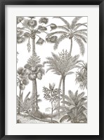 Palm Oasis II Framed Print