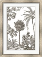 Palm Oasis I Fine Art Print