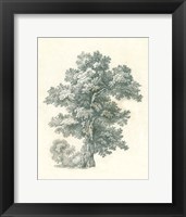 Tree Study I Fine Art Print