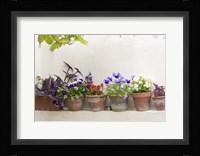 Attractive Flowers In Clay Pots Fine Art Print