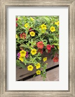 Yellow And Red Million Bells Fine Art Print